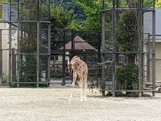 １年生　校外学習①　秋の校外学習、楽しんでいます！！